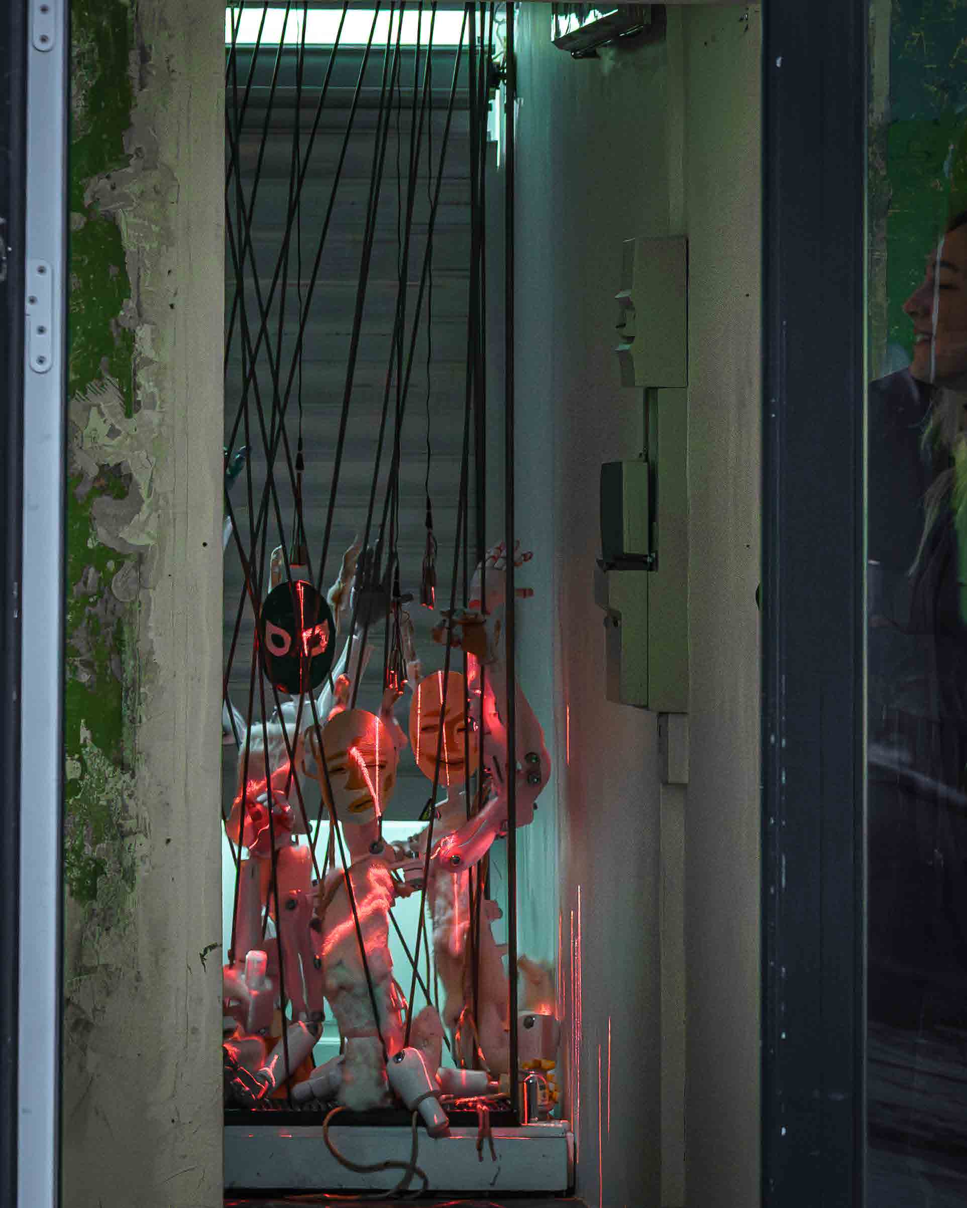 Bunny Rave II, 2025. Overall installation.